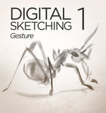 Digital Sketching 1: Gesture