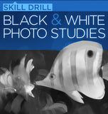 Black and White Photo Studies (Skill Drill)